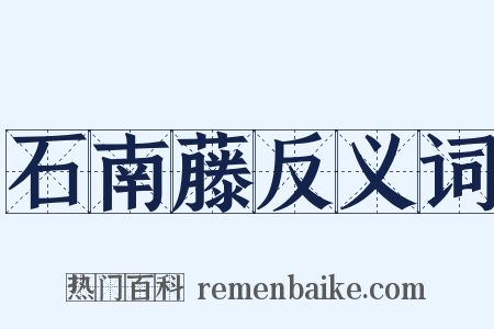 石南藤反义词是什么意思的图片